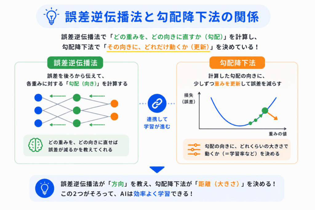 誤差逆伝播法と勾配降下法の関係のイメージ画像