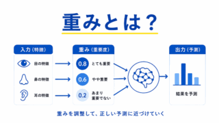 【G検定対策】重みとは？｜AIが「どこを重要視するか」を決める仕組みをわかりやすく整理