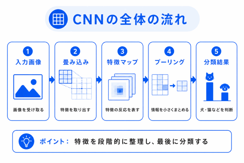 CNNの全体の流れのイメージ画像