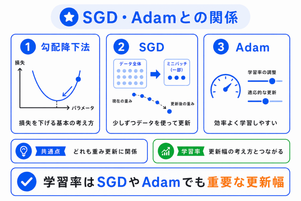 SGD・Adamとの関係のイメージ画像