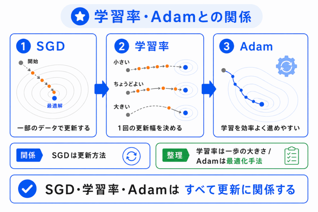 学習率・Adamとの関係のイメージ画像