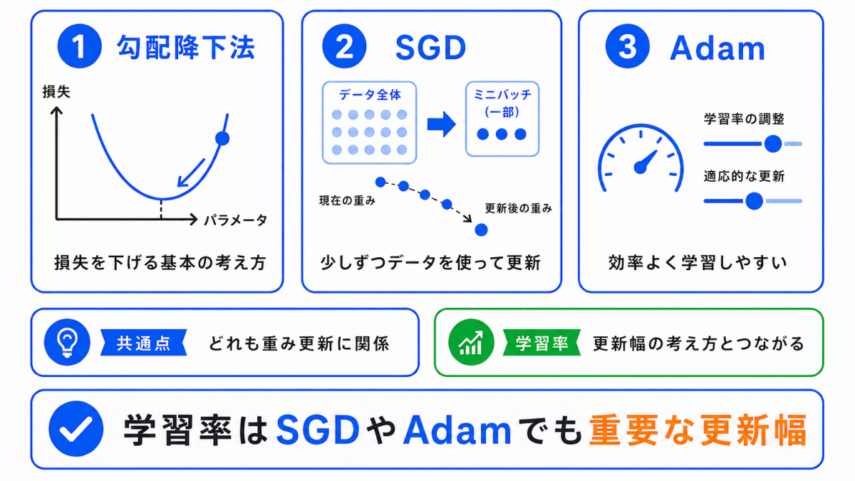 SGD・Adamとの関係のイメージ画像